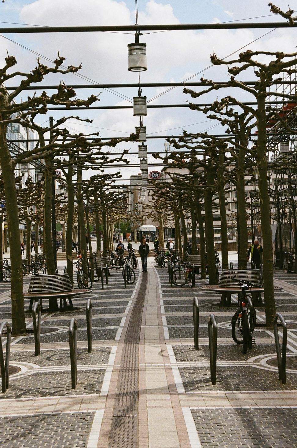Waterfront Promenade