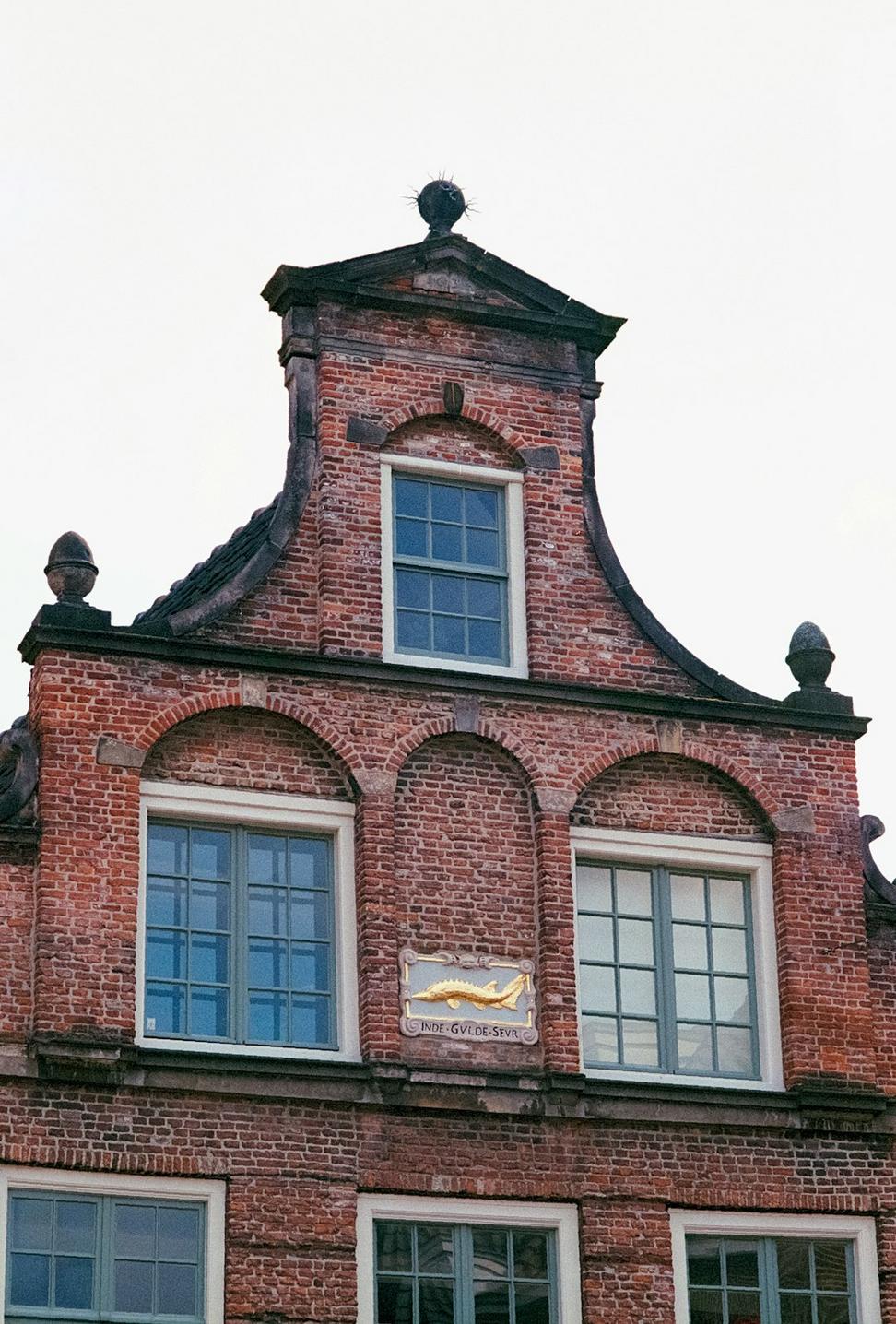 Cabbagetown Victorian